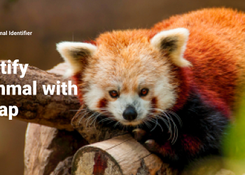 Mammal Identifier– Animal Snap 1.1 Apk for Android