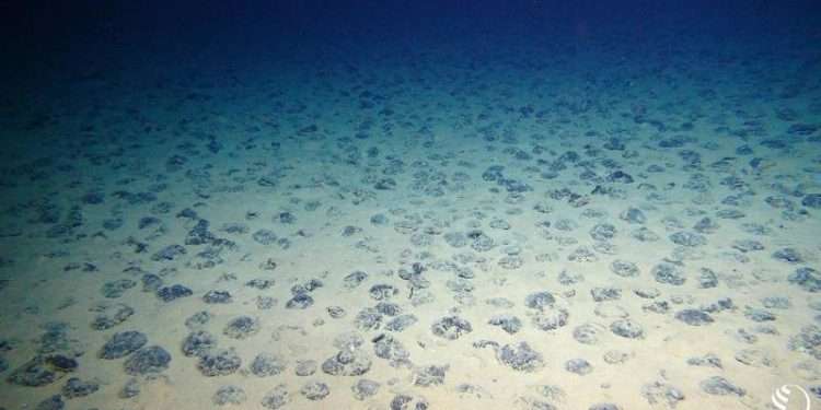 Subsea Mining Plans Pit Renewable Energy Demand Against Ocean Life