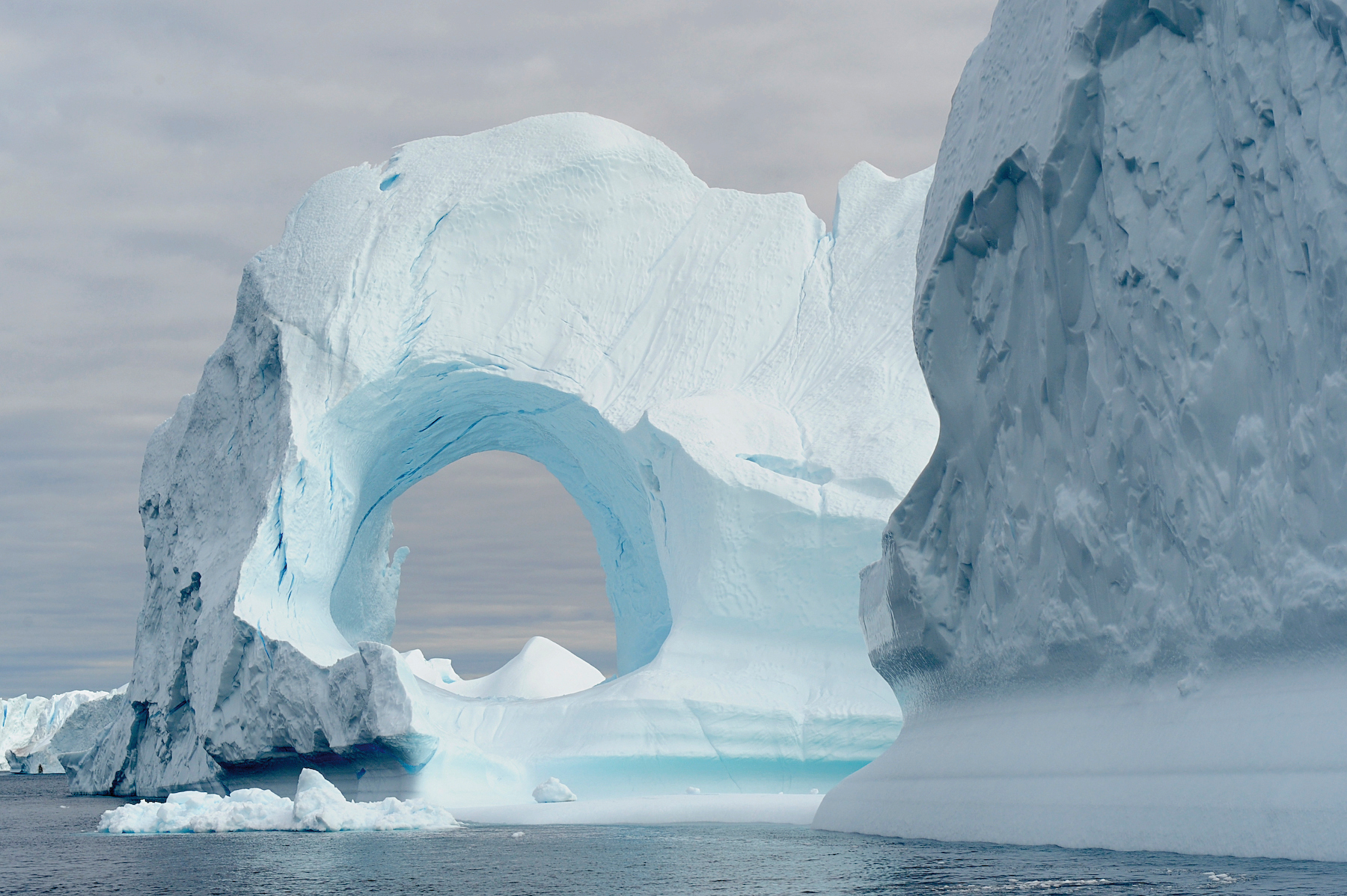 The Icebergs in Greenland's Disko Bay