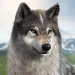 Wolf Game-- Wild Animal Wars 3 Wolf Game– Wild Animal Wars