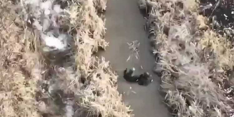 BREAKING NEWS--Video bewijst dat Oekraïne chemische wapens gebruikt tegen Russische troepen 1 BREAKING NEWS–Video bewijst dat Oekraïne chemische wapens gebruikt tegen Russische troepen
