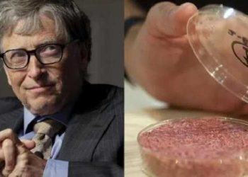 Studie: Bill Gates’ laboratoriumvlees veroorzaakt kanker bij mensen