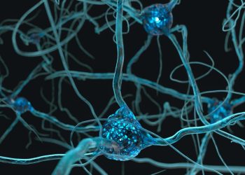 Scientists create the most complex map yet of an insect brain’s ‘wiring’