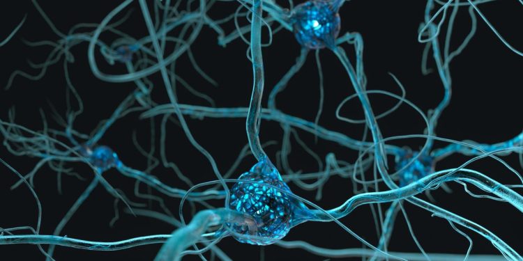 Scientists create the most complex map yet of an insect brain's 'wiring' 1 Scientists create the most complex map yet of an insect brain’s ‘wiring’