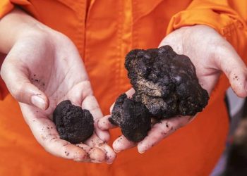 Norway’s Loke Buys UK Deep-sea Mining Firm from Lockheed