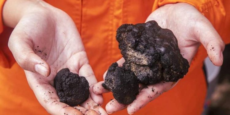 Norway’s Loke Buys UK Deep-sea Mining Firm from Lockheed