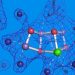Scientists observe elusive missing step in photosynthesis’ final stage 2 Scientists observe elusive missing step in photosynthesis’ final stage