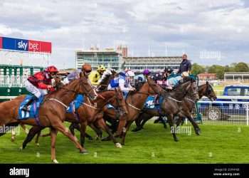 Mr Percy takes Sky Bet Race To The Ebor Handicap